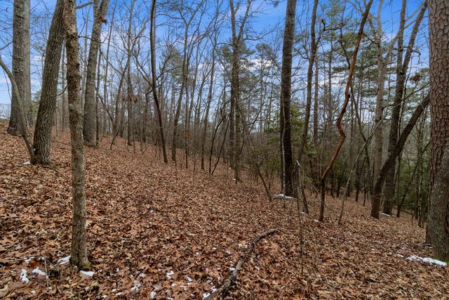 TR4 Curtis Ridge Road, Blue Ridge, GA 30513