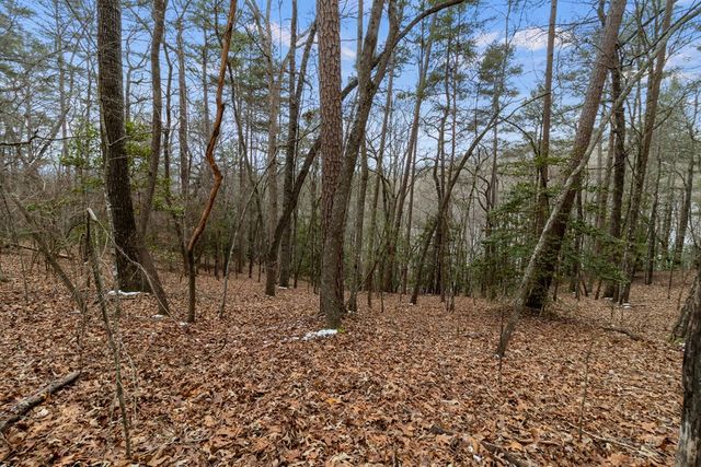 TR4 Curtis Ridge Road, Blue Ridge, GA 30513