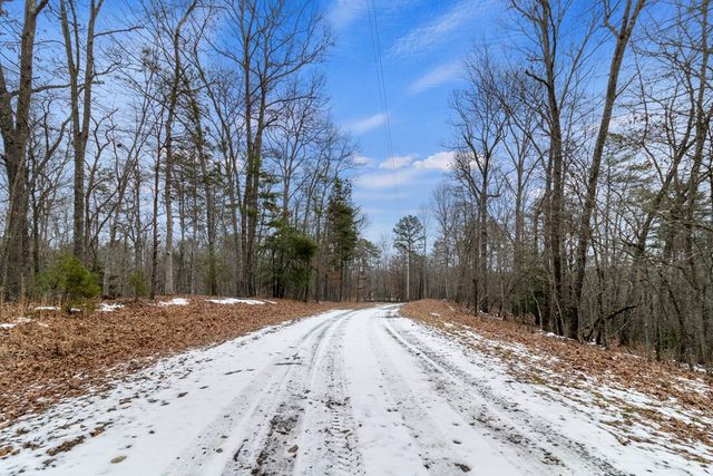 TR4 Curtis Ridge Road, Blue Ridge, GA 30513