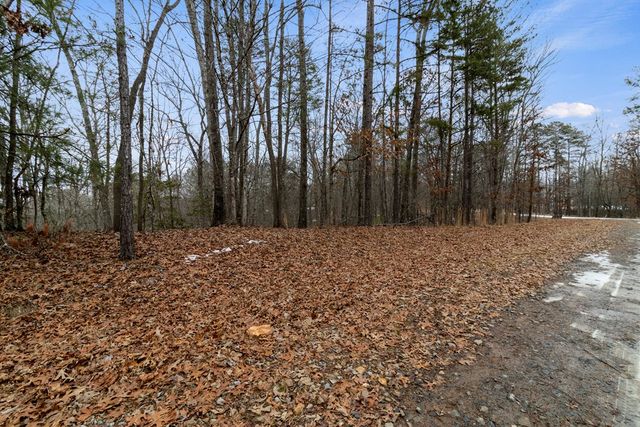 TR4 Curtis Ridge Road, Blue Ridge, GA 30513