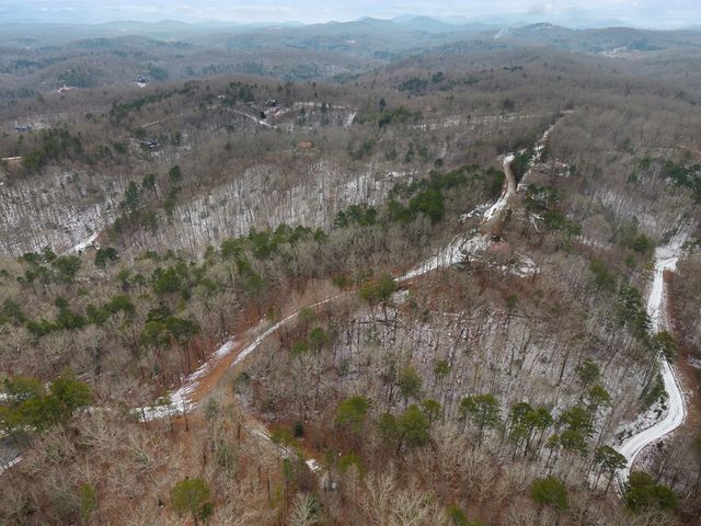 TR4 Curtis Ridge Road, Blue Ridge, GA 30513