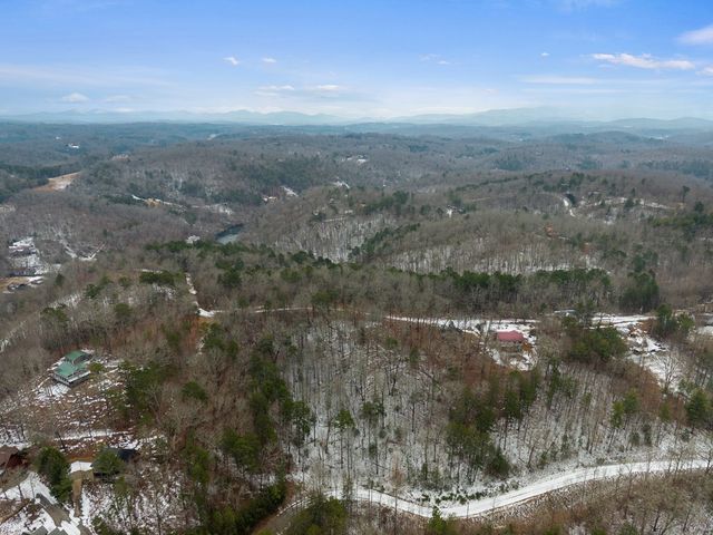TR4 Curtis Ridge Road, Blue Ridge, GA 30513