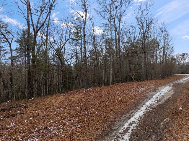 TR4 Curtis Ridge Road, Blue Ridge, GA 30513