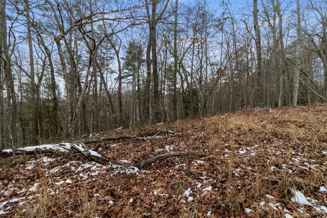 TR4 Curtis Ridge Road, Blue Ridge, GA 30513