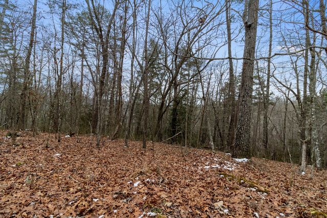 TR4 Curtis Ridge Road, Blue Ridge, GA 30513