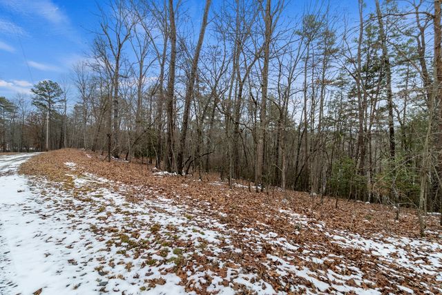 TR4 Curtis Ridge Road, Blue Ridge, GA 30513