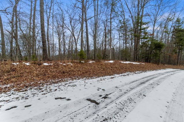 TR4 Curtis Ridge Road, Blue Ridge, GA 30513