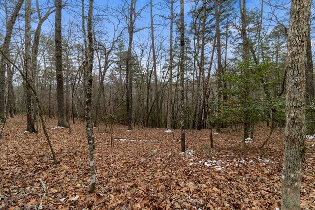 TR4 Curtis Ridge Road, Blue Ridge, GA 30513