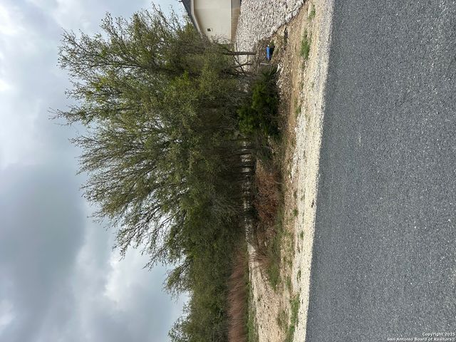 226 Roy Nichols, Blanco, TX 78606