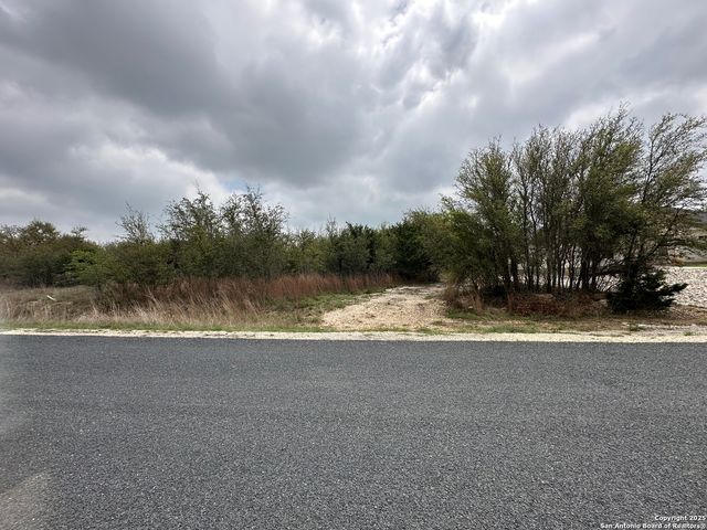 226 Roy Nichols, Blanco, TX 78606