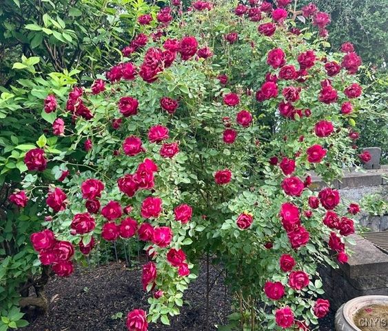 2642 Remington Road, Utica, NY 13501