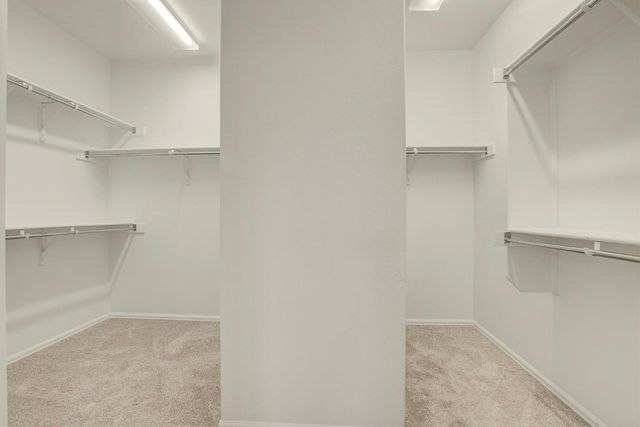 213 Mustang Island TRL, Georgetown, TX 78633