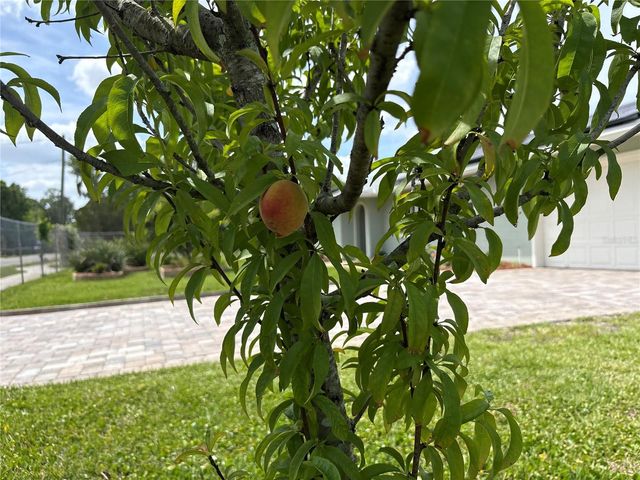 8595 MILLINOCKETT LANE, Orlando, FL 32825