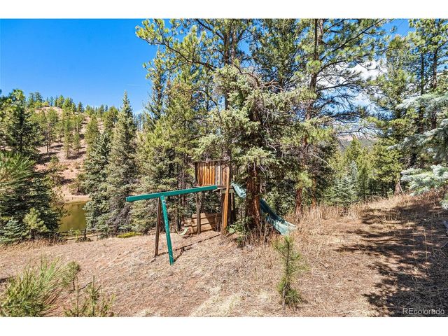 33769 Myrna Ct, Pine, CO 80470