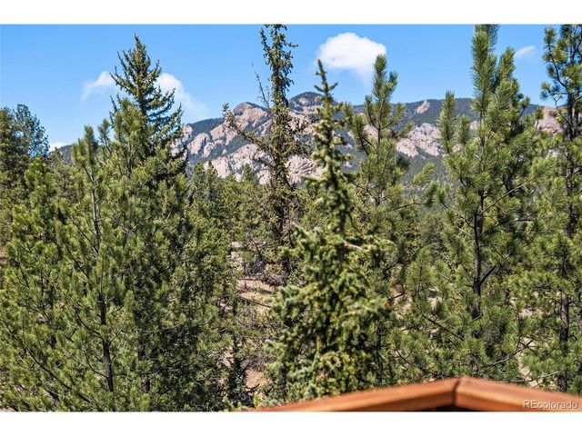 33769 Myrna Ct, Pine, CO 80470