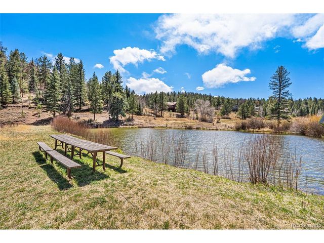 33769 Myrna Ct, Pine, CO 80470