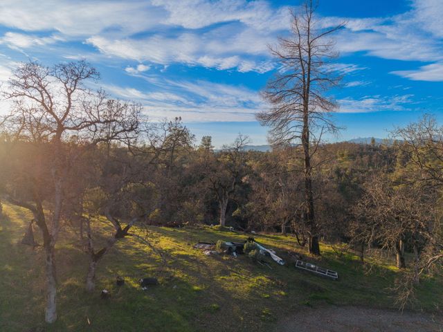 14991 Lower Coal Pit Drive, Igo, CA 96047
