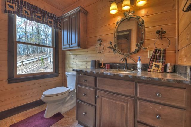 486 Henderson Lane, Mineral Bluff, GA 30559