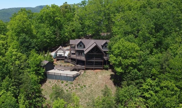 486 Henderson Lane, Mineral Bluff, GA 30559
