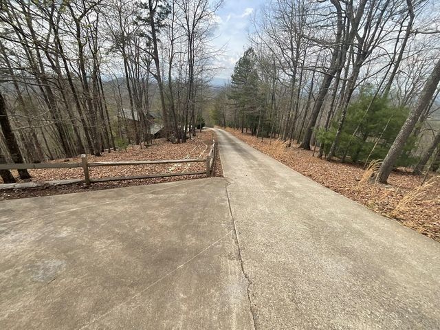 486 Henderson Lane, Mineral Bluff, GA 30559