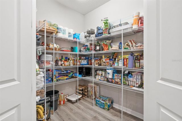 19284 BRIARBROOK DRIVE, Tampa, FL 33647