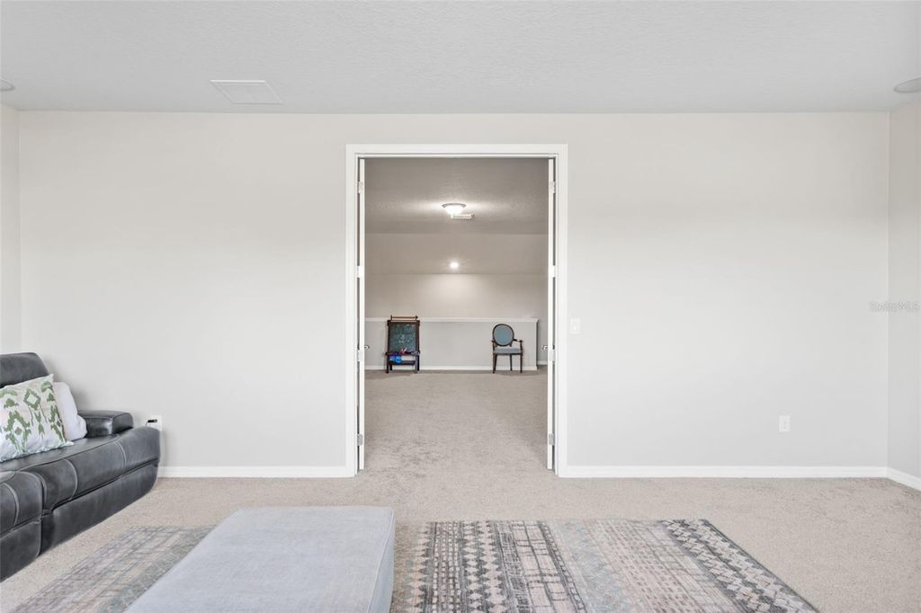Image 38 of property listing at 19284 BRIARBROOK DRIVE, Tampa, FL 33647