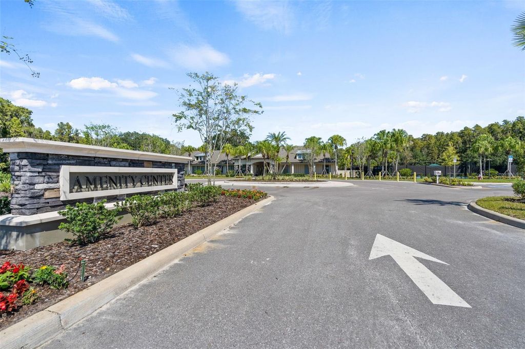 Image 67 of property listing at 19284 BRIARBROOK DRIVE, Tampa, FL 33647