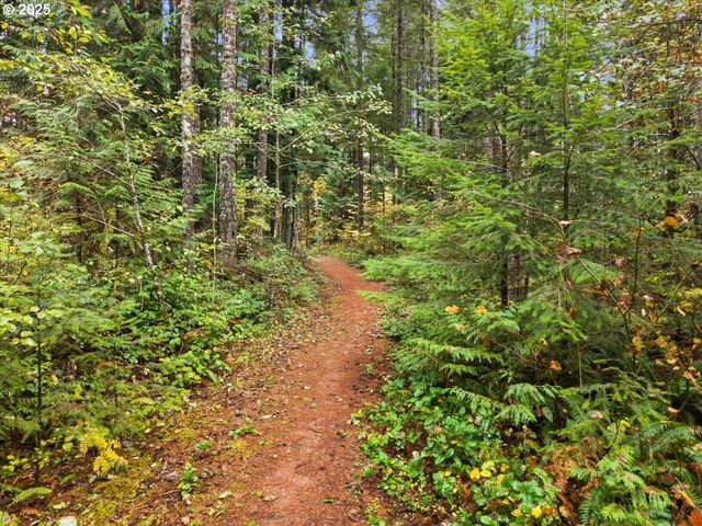 51720 Nw Hayward Rd, Manning, OR 97125