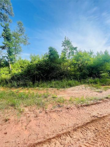 01 Bracewell Cemetery Road, Livingston, TX 77351