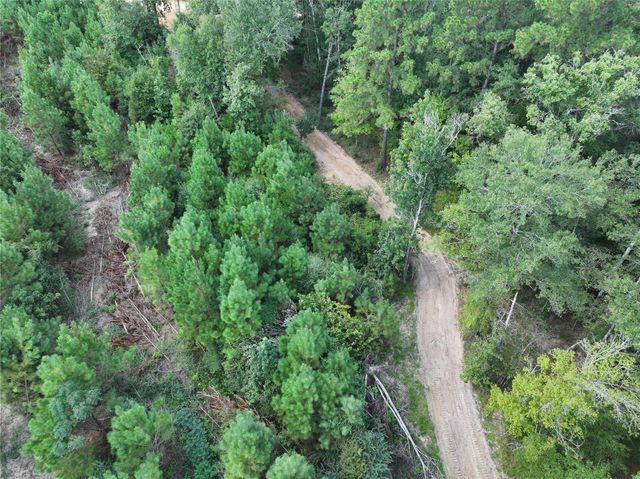 01 Bracewell Cemetery Road, Livingston, TX 77351