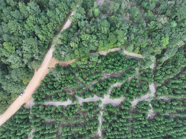 01 Bracewell Cemetery Road, Livingston, TX 77351