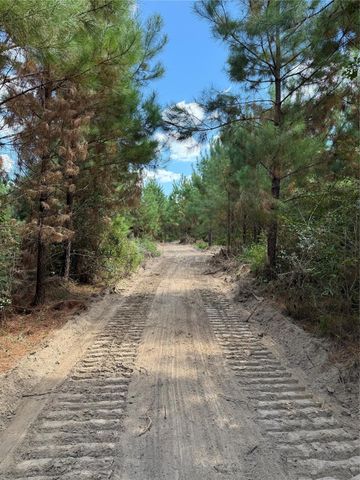 01 Bracewell Cemetery Road, Livingston, TX 77351