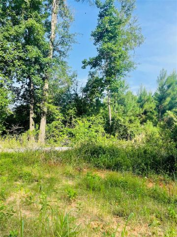 01 Bracewell Cemetery Road, Livingston, TX 77351