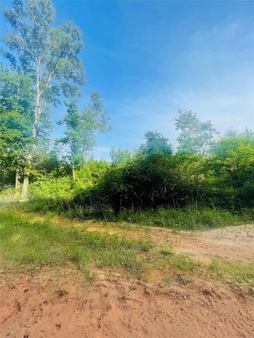 01 Bracewell Cemetery Road, Livingston, TX 77351