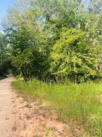 01 Bracewell Cemetery Road, Livingston, TX 77351