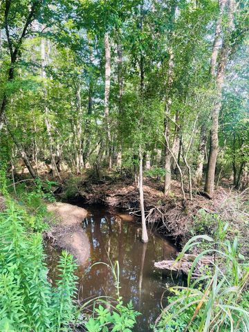 01 Bracewell Cemetery Road, Livingston, TX 77351