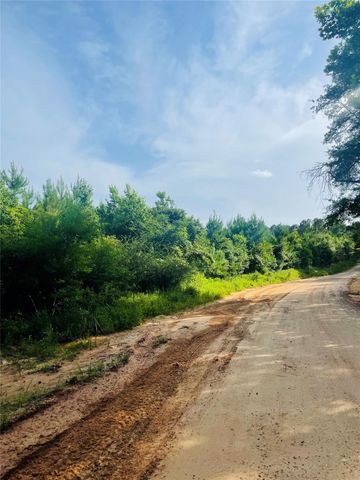 01 Bracewell Cemetery Road, Livingston, TX 77351