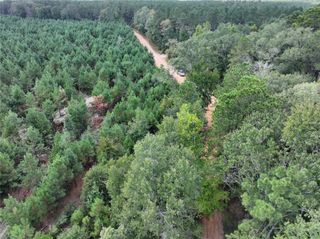 01 Bracewell Cemetery Road, Livingston, TX 77351