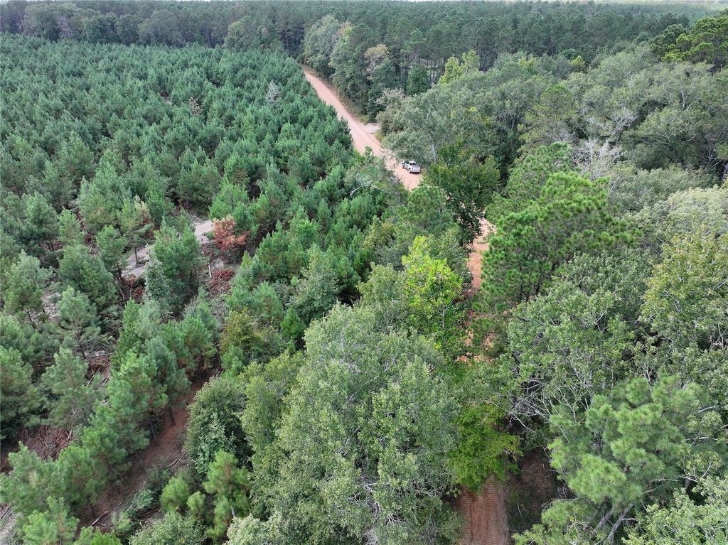 01 Bracewell Cemetery Road, Livingston, TX 77351