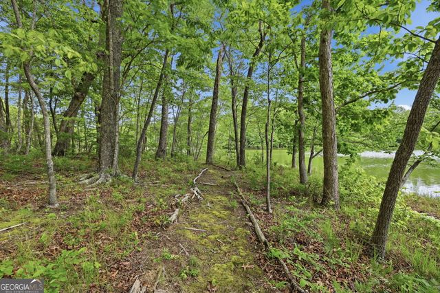 479 Lake Loop Road, Menlo, GA 30731