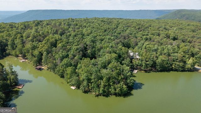 479 Lake Loop Road, Menlo, GA 30731