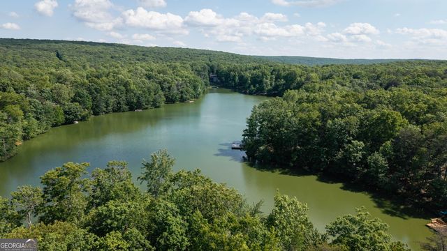 479 Lake Loop Road, Menlo, GA 30731