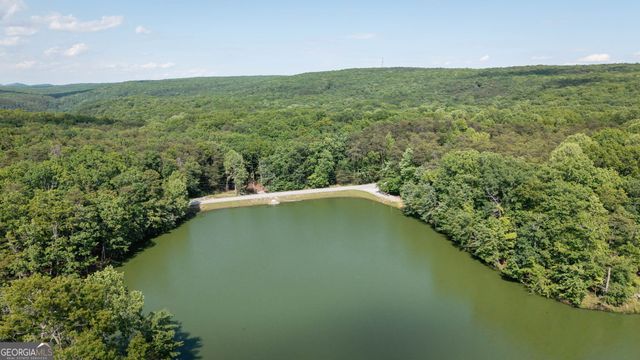 479 Lake Loop Road, Menlo, GA 30731
