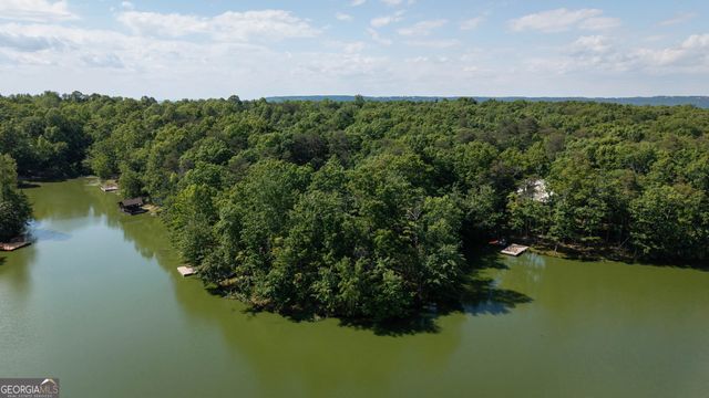 479 Lake Loop Road, Menlo, GA 30731