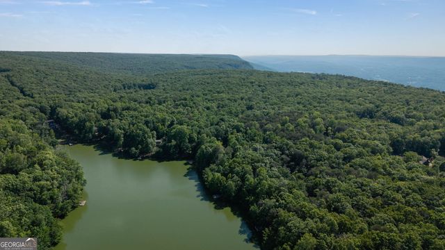 479 Lake Loop Road, Menlo, GA 30731