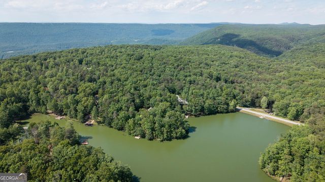 479 Lake Loop Road, Menlo, GA 30731