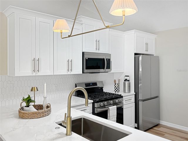 1245 JONESVILLE TERRACE, The Villages, FL 32162