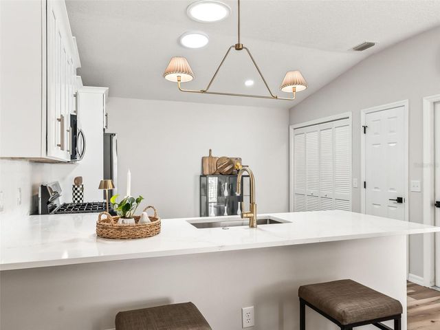 1245 JONESVILLE TERRACE, The Villages, FL 32162