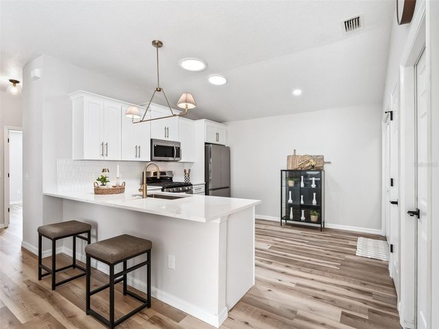 1245 JONESVILLE TERRACE, The Villages, FL 32162