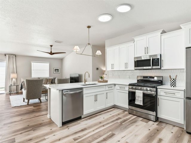 1245 JONESVILLE TERRACE, The Villages, FL 32162